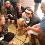 college therapy dogs