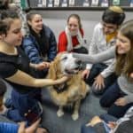 collegepet