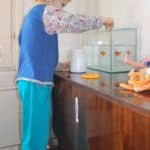 feeding-1118525_1920