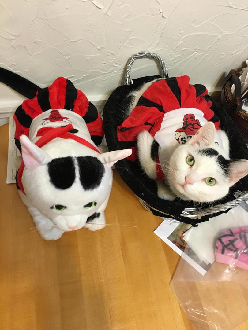 Minnie