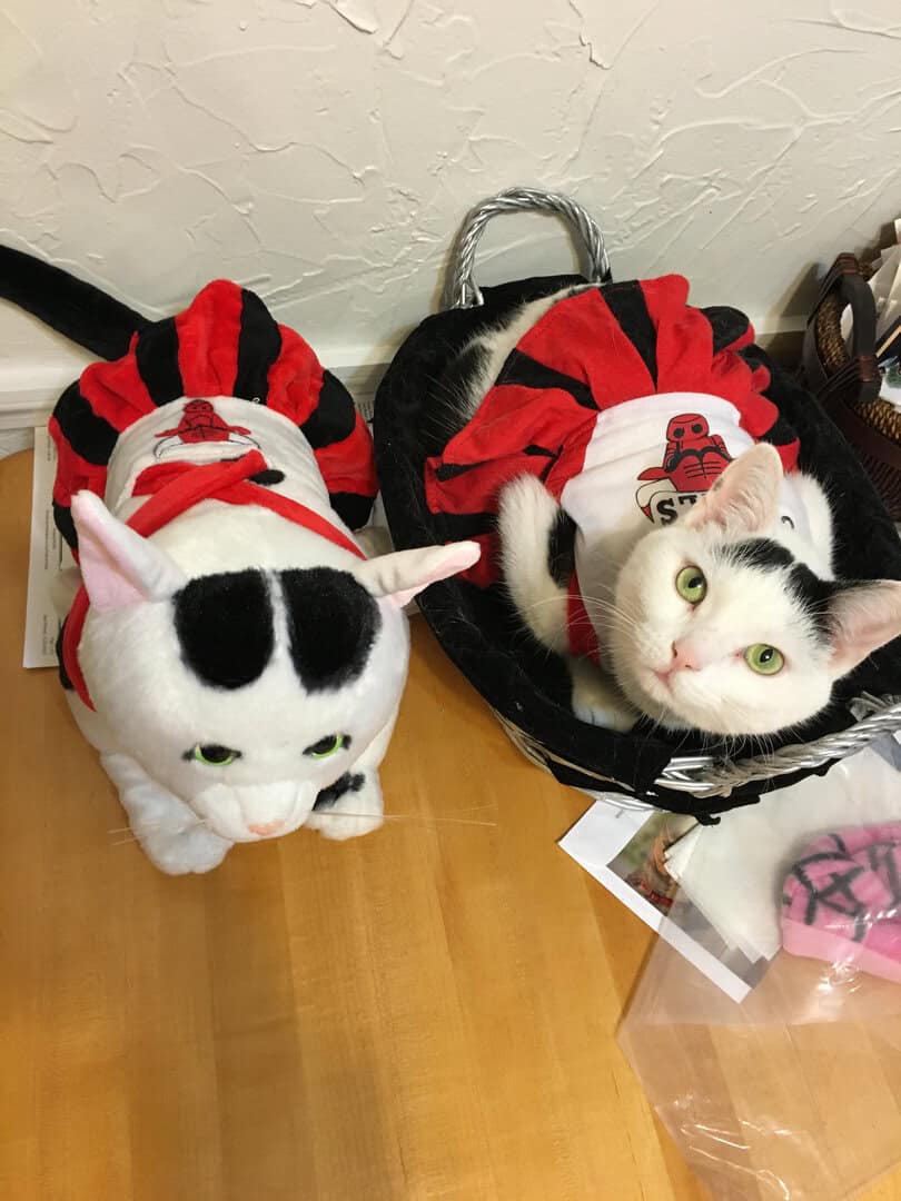 Minnie
