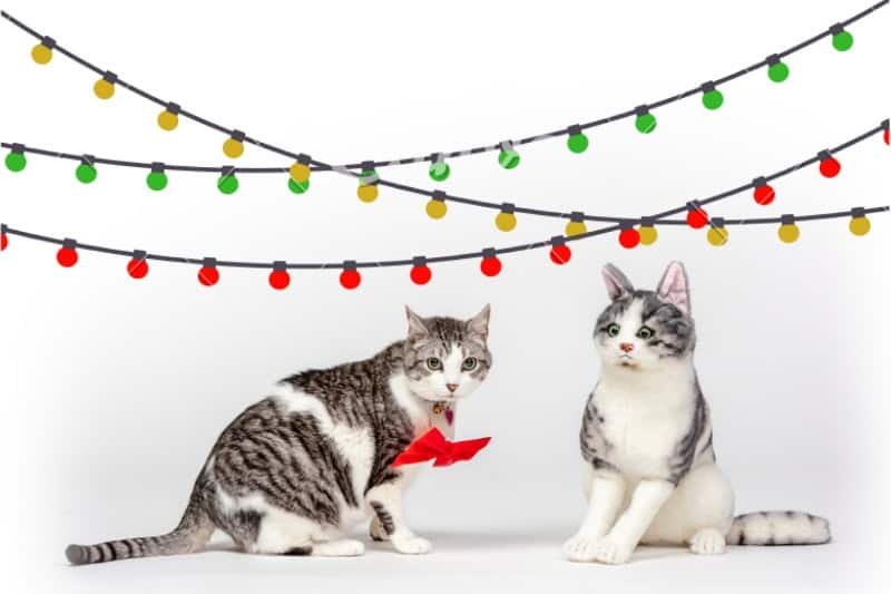 gift guide for pet lovers