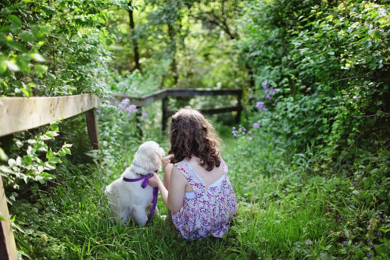 Guide to Buying a Wireless Dog Fence