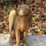 help your child grieve pet 2