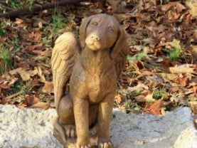 help your child grieve pet 2