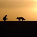 honoring your pet