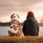 new dog after loss of pet