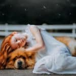 Dealing with pet loss 