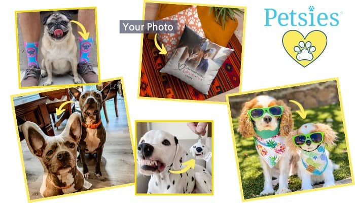 Petsies