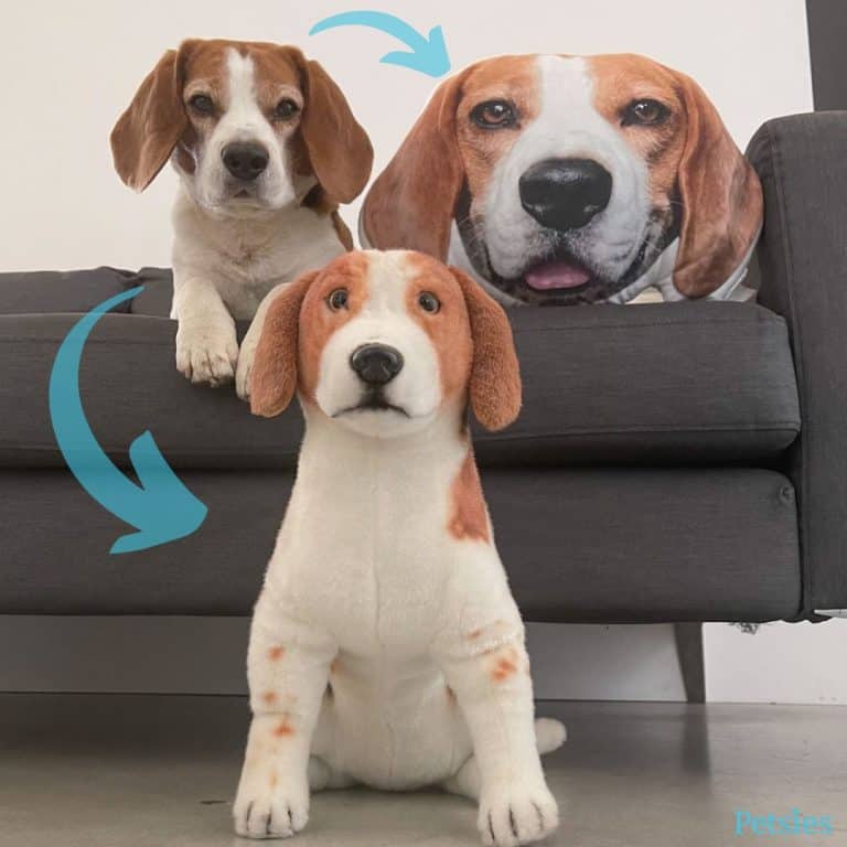 Petsies