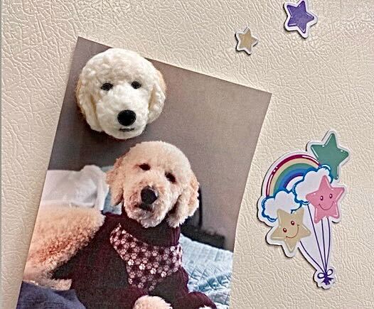 Image from iOS