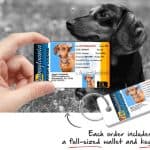 dogdriverslicensetag