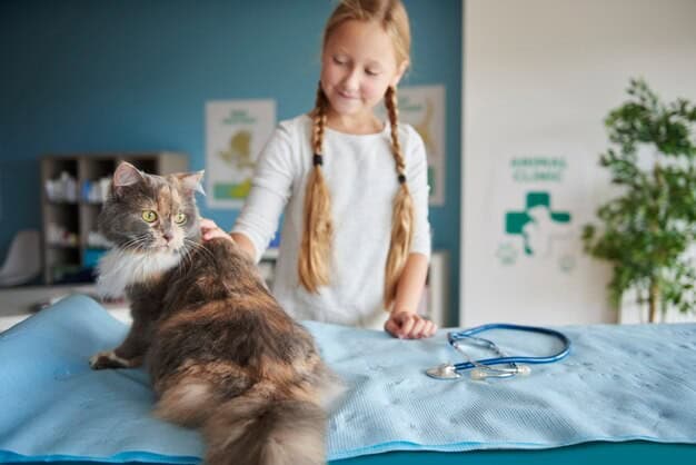 Shadowing a Vet: How to Get Kids Involved at an Early Age