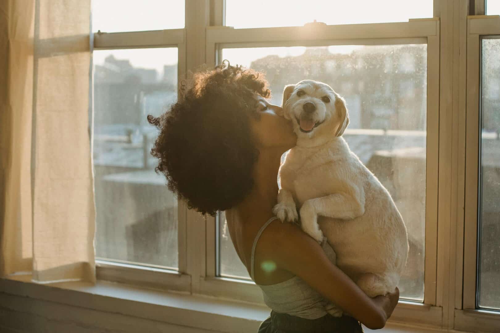 A Guide to Emotional Support Animals (ESAs)