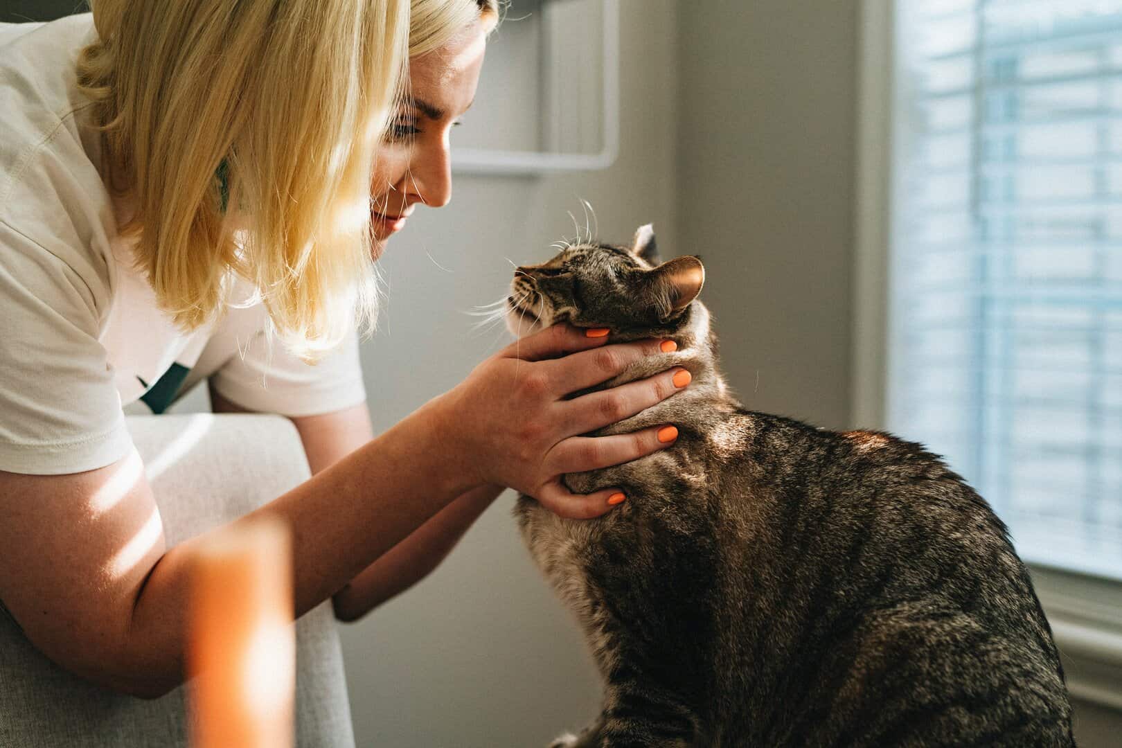 What to Expect When Getting Vaccinations for Your Pet