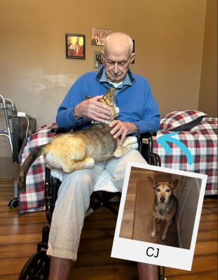 Alzheimer's comfort gifts