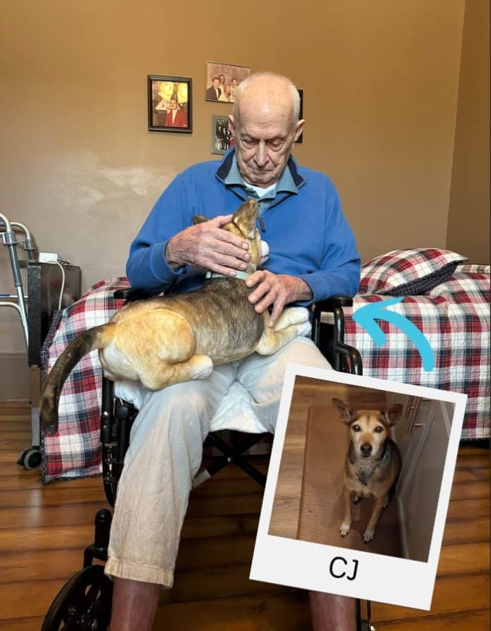 Alzheimer's comfort gifts
